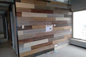 indoor-spc-wingon office